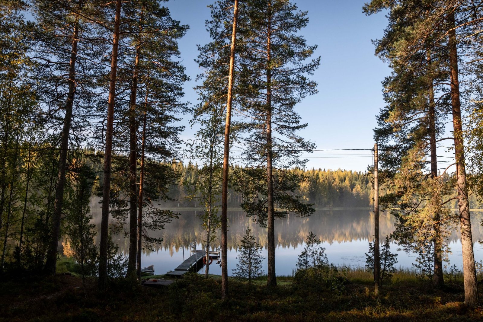 Tyyni suomalainen järvimaisema mäntymetsän keskellä